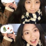 Lami