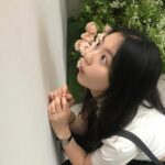Lami