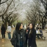 Lami