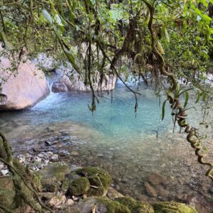 Lana Parrilla Instagram - There is something profoundly sacred about this place.

The land is pure.
The air feels intentional.
And the river doesn’t just wash over the body it cleanses the spirit.

Every moment here is grounding, life-giving and quietly transformative.
So deeply grateful for this sanctuary and the magic held within it.

Thank you @altagraciaauberge & to the beautiful @manjit.devgun for creating and protecting a space where nature, spirit and healing exist in perfect harmony ✨🤍✨💠✨