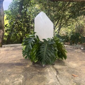 Lana Parrilla Instagram - There is something profoundly sacred about this place.

The land is pure.
The air feels intentional.
And the river doesn’t just wash over the body it cleanses the spirit.

Every moment here is grounding, life-giving and quietly transformative.
So deeply grateful for this sanctuary and the magic held within it.

Thank you @altagraciaauberge & to the beautiful @manjit.devgun for creating and protecting a space where nature, spirit and healing exist in perfect harmony ✨🤍✨💠✨