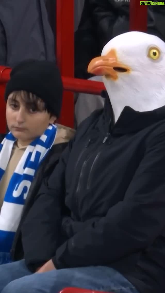 Laura Woods - 40.9K Likes - It’s going to be a long journey home for this Brighton fan…