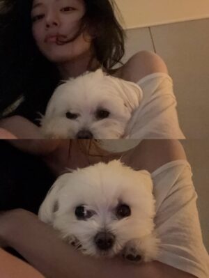 Lee Chaeyoung Instagram - 