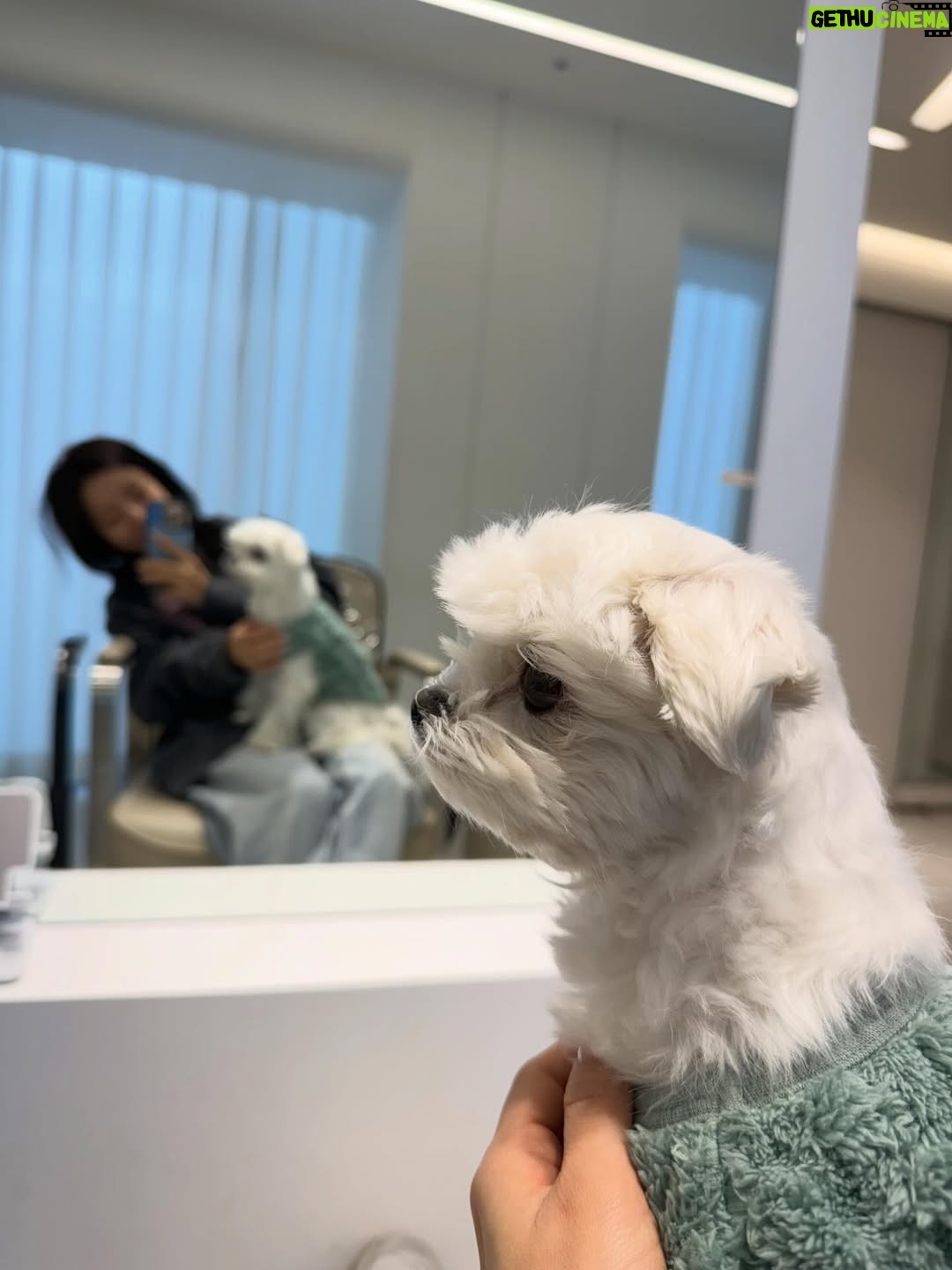 Lee Eun-young - 4.4K Likes - 2025 안녕..👋🏻