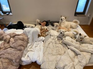 Lee Hyo-ri Instagram - 힘들고 엉망진창이라 느껴지시나요? 하지만 훗날 뒤돌아보면 가장 행복했던 순간이었음을 ^^