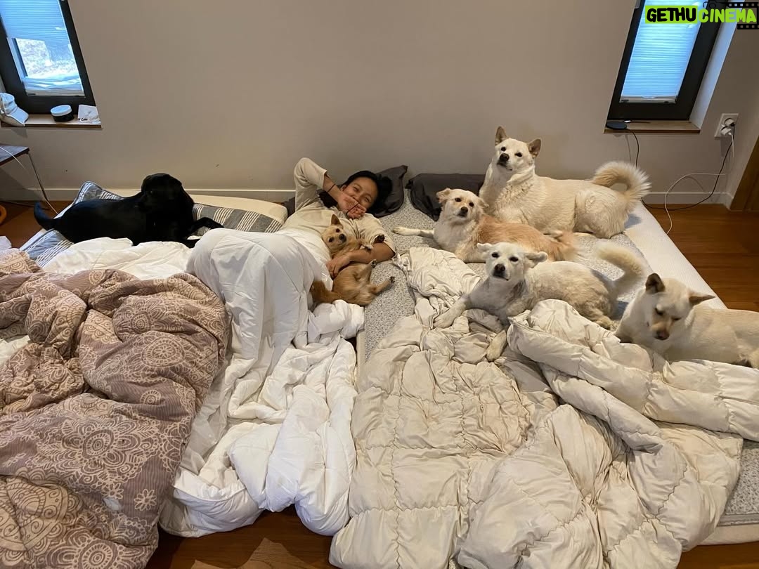 Lee Hyo-ri - 106.9K Likes - 힘들고 엉망진창이라 느껴지시나요? 하지만 훗날 뒤돌아보면 가장 행복했던 순간이었음을 ^^