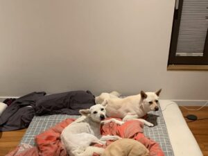 Lee Hyo-ri Instagram - 힘들고 엉망진창이라 느껴지시나요? 하지만 훗날 뒤돌아보면 가장 행복했던 순간이었음을 ^^
