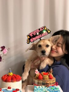 Actress Lee Joo-young HD Photos and Wallpapers February 2026