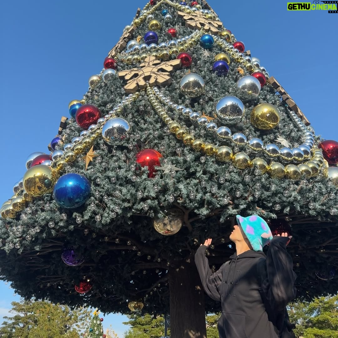 Lee Sang-hwa - 7.9K Likes - 멜히멜히 크리스마스🎄🎁🎅🏼✨💚 
따뜻하고 행복가득한 연말보내자!
Merry Christmas! Happy Holidays‼️💚