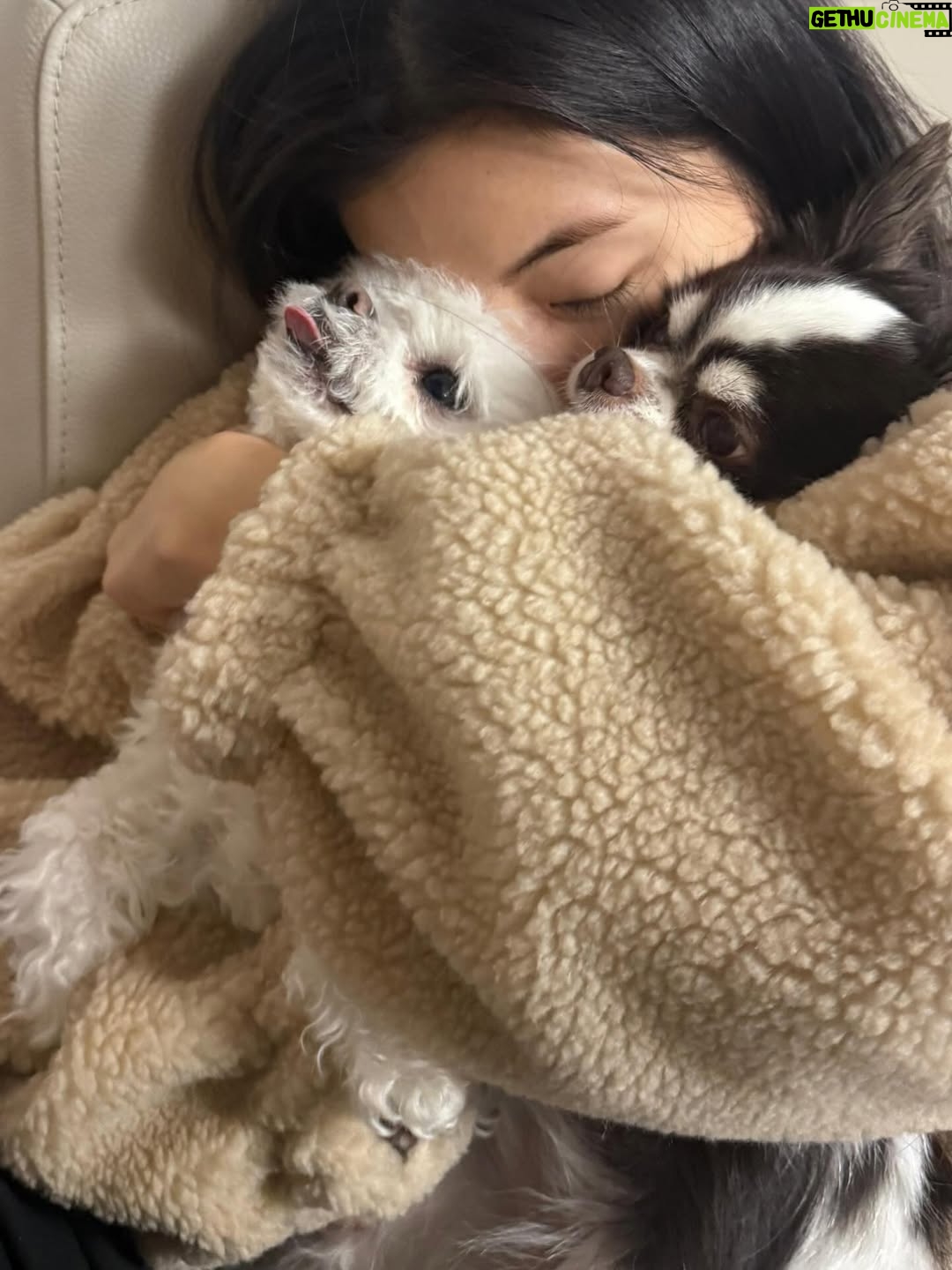 Lee Sun-bin - 147.6K Likes - ❤︎︎ 2026.01.07 𝐦𝐲 𝐁-𝐝𝐚𝐲 ❤︎︎

아주 게으르고 나태하게 보내서 행복했던 나의 🎂
축하해주신 모든 분들 감사해요!!😘✨💕