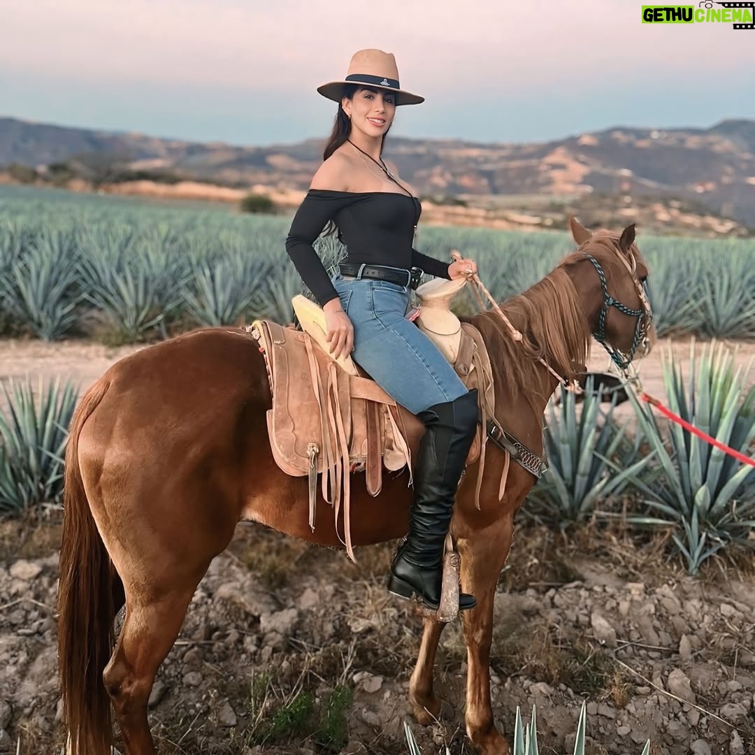 Leysi Suárez - 3 Likes - Este 2026 es mío 🫶🏻