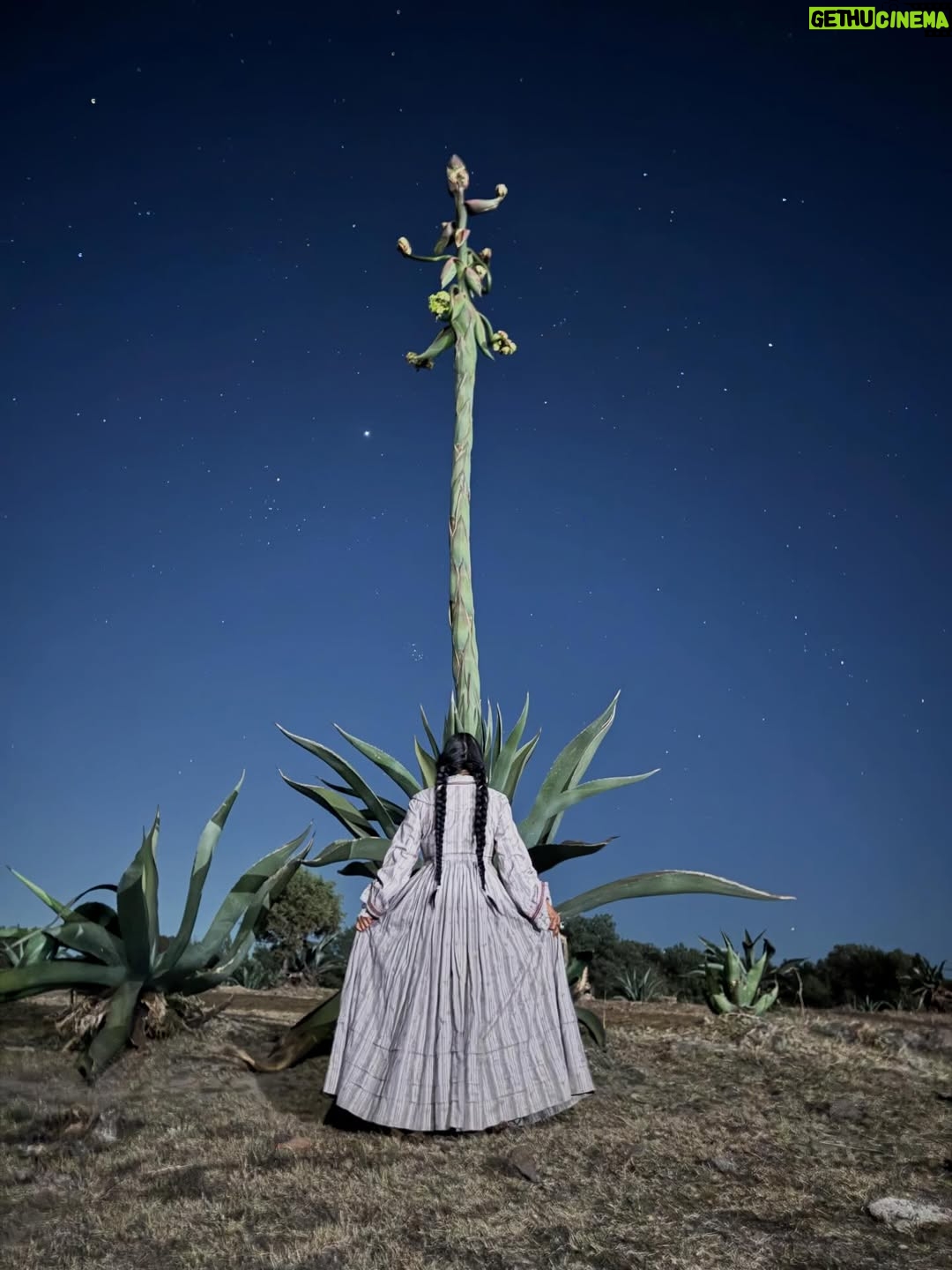 Most liked Instagram photo of Lila Downs