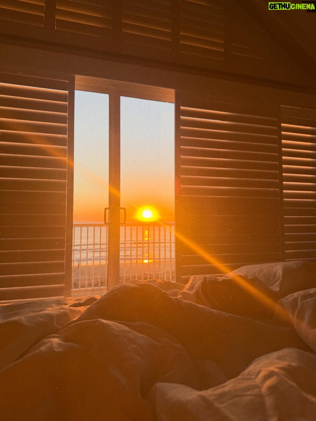 Lily James - 160.5K Likes - I spent the last part of 2025 on the beach, made a film and watched the sun rise with very special people. I feel very grateful and hopeful for a new year ✨