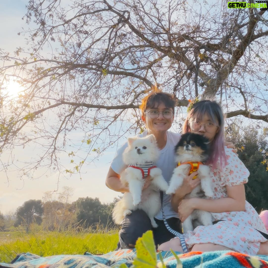 Lily Ki - 153.8K Likes - happy valentine’s day!! we went on a picnic. it’s our six year anniversary!! ☺️☺️❤️
