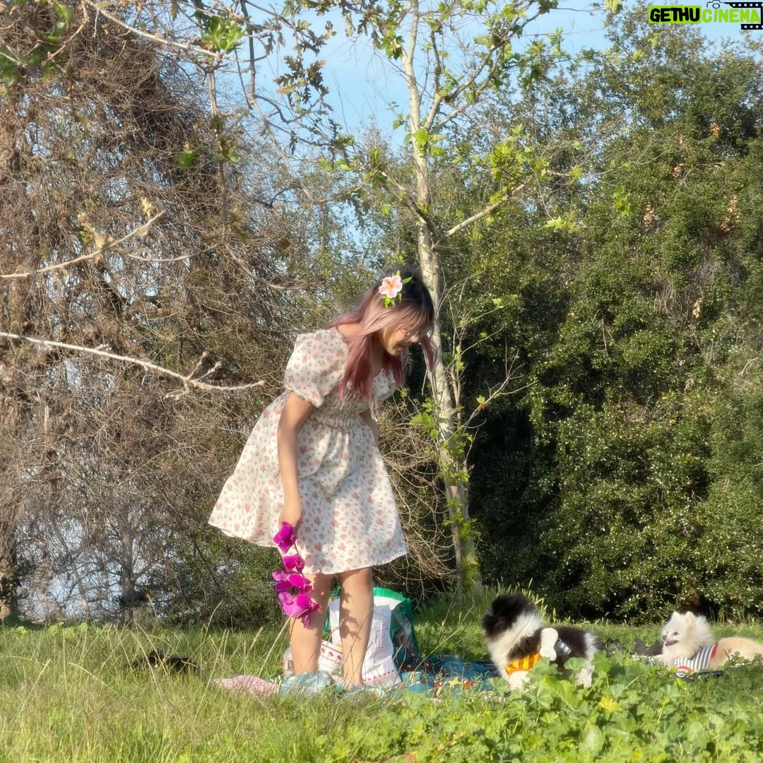 Lily Ki - 153.8K Likes - happy valentine’s day!! we went on a picnic. it’s our six year anniversary!! ☺️☺️❤️