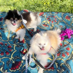 Lily Ki Instagram - happy valentine’s day!! we went on a picnic. it’s our six year anniversary!! ☺️☺️❤️