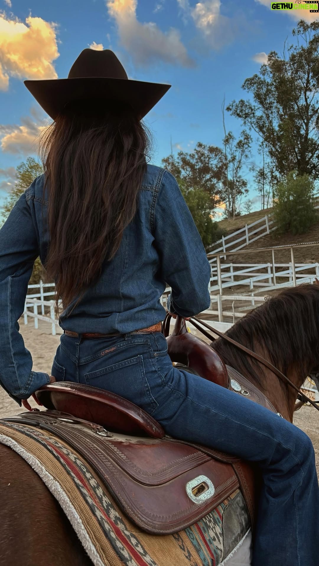 Linzy Luu - 5.2K Likes - If I could only pick 5 cowgirl essentials , these would be it @walmart ໋𐚁🤎
Affordable , durable and rodeo-ready 🤠 all from Walmart’s Rodeo Revival collection 𓍢ִ𓃗

🔗 in my bio for all products mentioned 

#WalmartPartner #Walmart