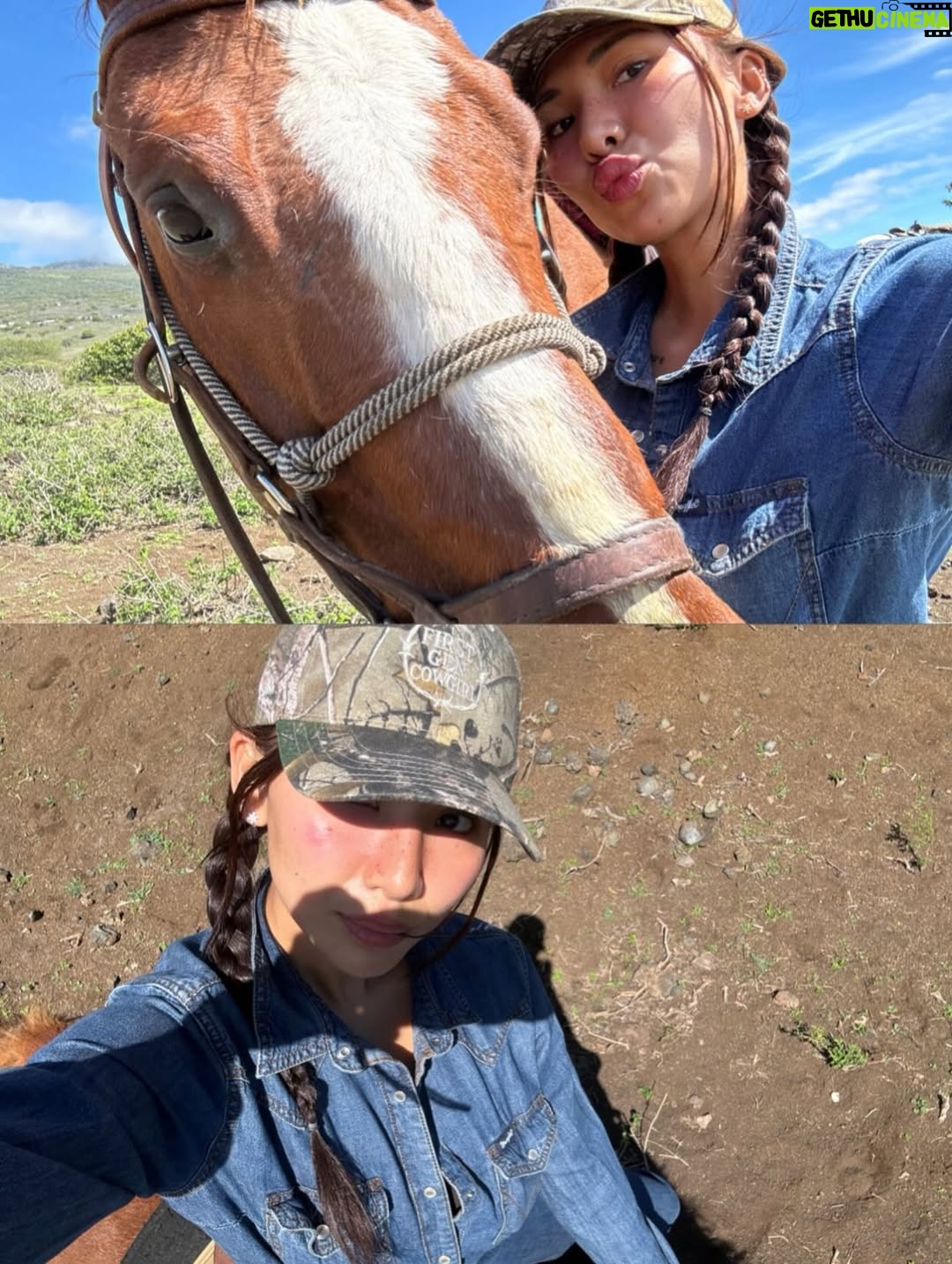 Linzy Luu - 3 Likes - glimpses of a week spent at the most magical place on earth @triplelranchmaui @spirithorsecollective 🥹🤎 @wrangler