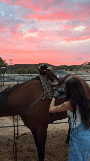 Linzy Luu Instagram - did somebody say …. pony spa day ? 🤭🧼🐴🫧 

#horsegirl #ranchlife