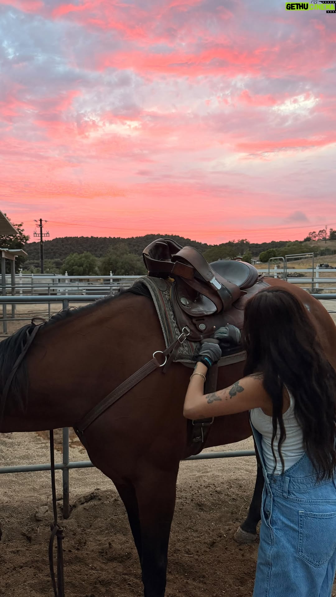 Linzy Luu - 3.4K Likes - did somebody say …. pony spa day ? 🤭🧼🐴🫧 

#horsegirl #ranchlife