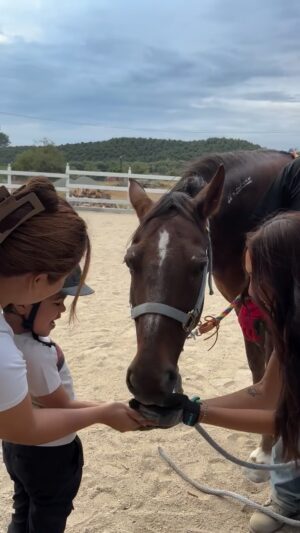 Linzy Luu Instagram - At ReinWest we believe every child deserves the chance to connect , grow and shine through the magic of horses🐴🤎

Teaching our kids on the spectrum how to build trust and share these little moments of joy with our ponies is what it’s all about 🥹🤎 

The bonds created in the arena bring confidence, calm, and so much love far beyond the barn! 
#ReinWestStables