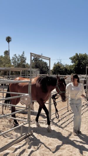 Linzy Luu Instagram - life of a lil coastal cowgirl 🐴🤎