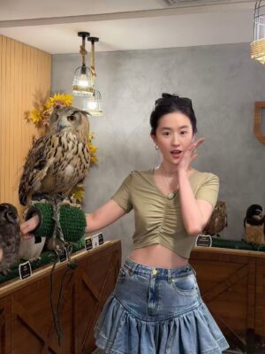 Liu Yifei Instagram - Thanks for the fun visit! @visitabudhabi