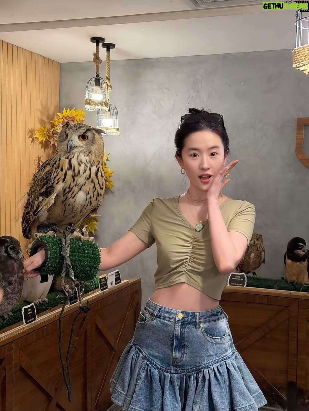 Liu Yifei - 226.6K Likes - Thanks for the fun visit! @visitabudhabi