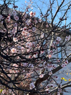 Loreto Peralta Instagram - 🍒 🌸 ✨🙏🏻🫶🏻