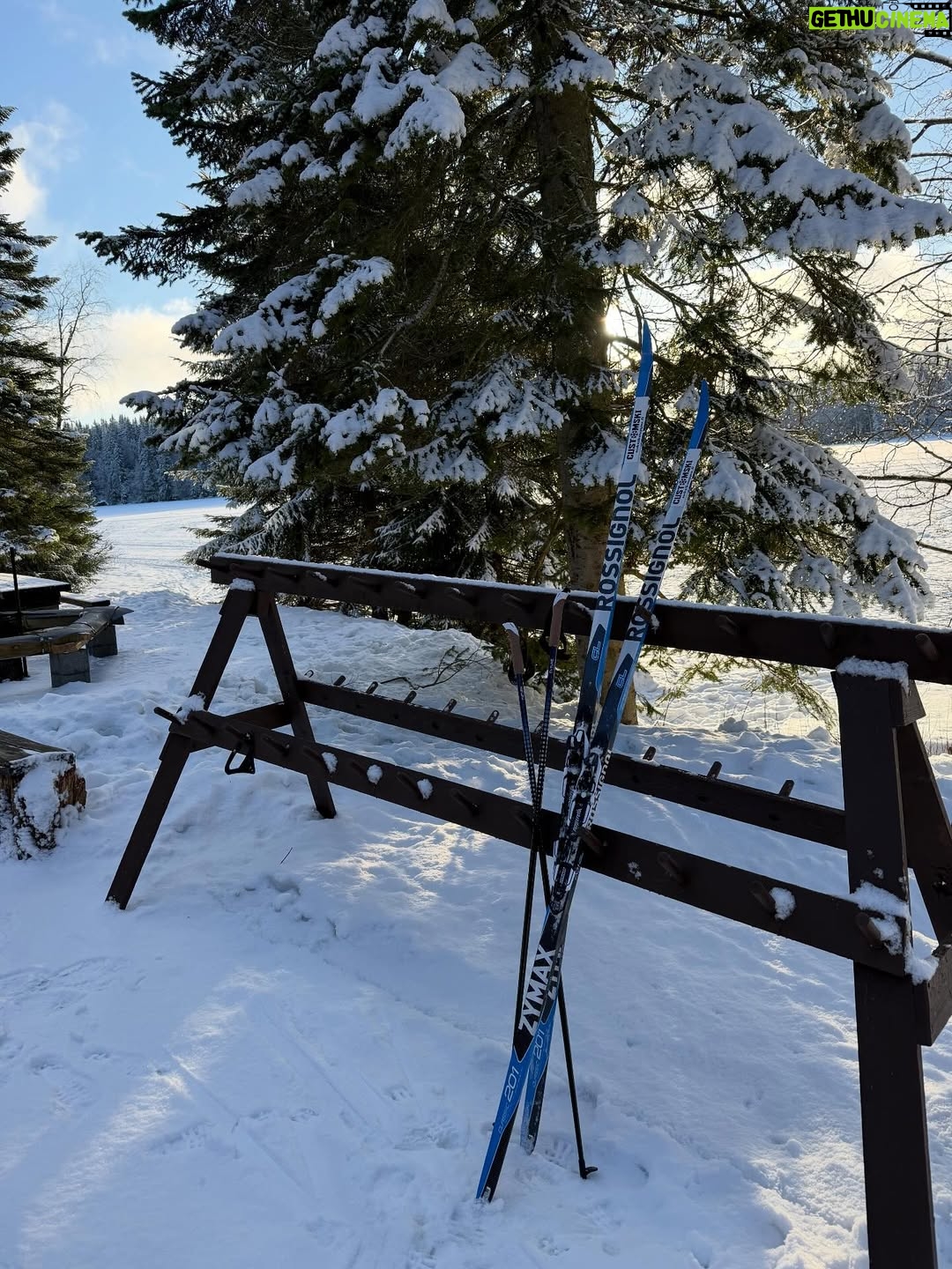 Lotta Hintsa - 1.1K Likes - Finally skiing this winter😍 and what a beautiful winter day it was!❄️

I’ve also established that what my mom doesn’t have at her house, I don’t need. I came here having forgotten my ski boots and had the wrong pair of ski poles. Found my super old pair of boots from my teenage years and borrowed mom’s poles and off I went. Also, after telling her I’d been slipping around on the icy track she told me she has the right products to treat the skis so next time my technique might look a bit prettier too!

Can’t wait for the sore muscles tomorrow 🤪 happy Monday all!😘