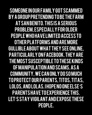 Louise delos Reyes Instagram - Please stay vigilant. Scammers are now pretending to be trusted establishments online, and our elders are often the most vulnerable. Let’s protect our families and spread awareness.