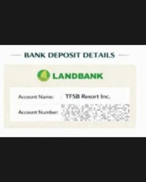Louise delos Reyes Instagram - Please stay vigilant. Scammers are now pretending to be trusted establishments online, and our elders are often the most vulnerable. Let’s protect our families and spread awareness.