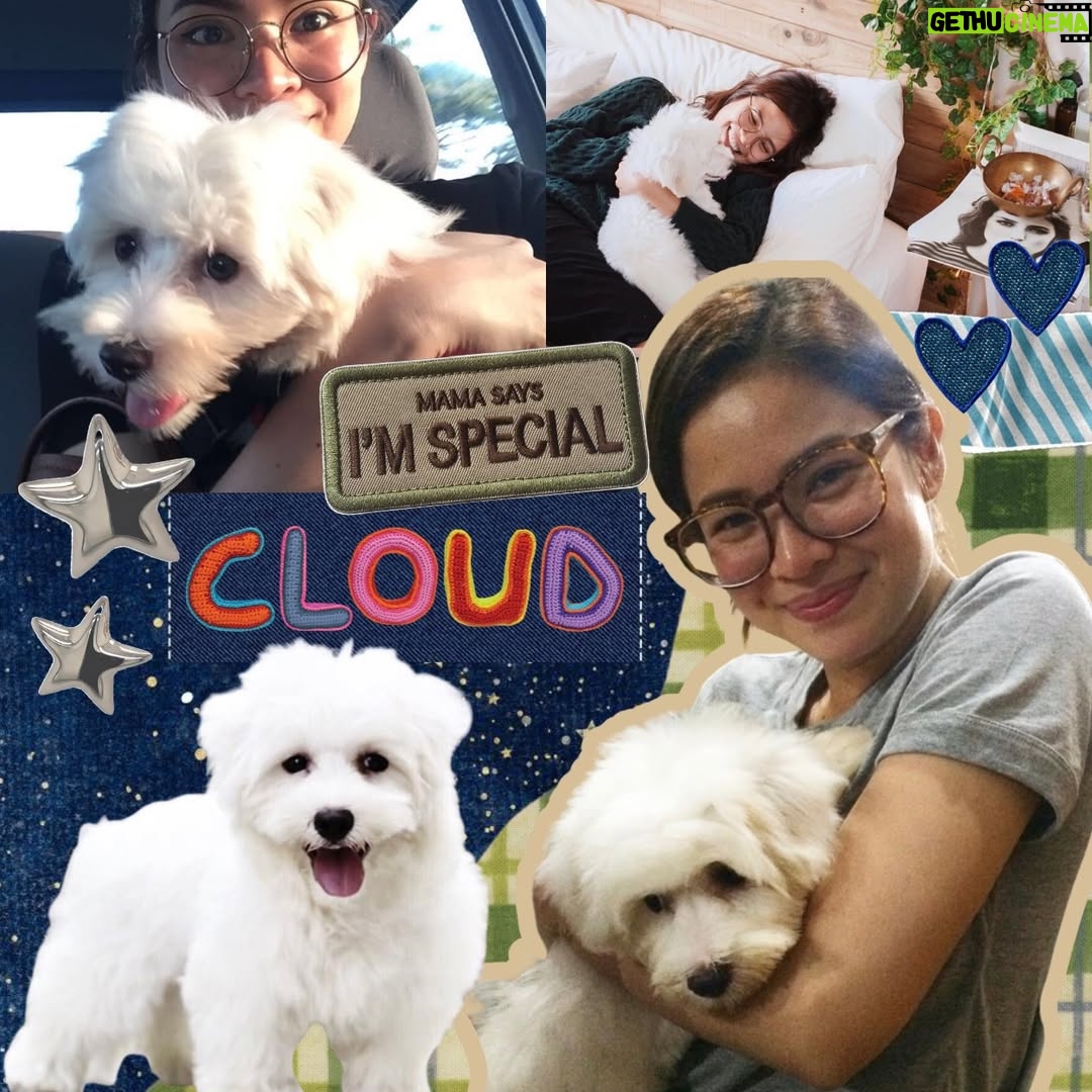 Louise delos Reyes - 2.2K Likes - the year is 2016.
this was the vibe.

[2] moved to bgc. constant “san ka?” texts to @alcantarajohann l, our code for let’s shoot again. haha. kaladkarin pa kami non. 😅

[3] then I adopted cloud in march. found him through a three-month-old facebook post and he's the last one left. it felt like destiny. we're inseparable ever since.

[4] like everyone else back then, chokers were a thing (and apparently my personality)⁉️

[5] partied like life depended on it. 🤪

[6] getting more active online, quietly learning this new world called "influencing".

[7] calls from websites and magazines for covers and articles started coming in.

[8] went to events, had brand collaborations and opportunities i once only imagined 💕

[9] endorsed a clothing line with these gals. hi @gabsgibbs @denniselazaro @reeseypeasy 

[10] lastly… played jess in baka bukas, my first gl movie and it couldn’t have been any other way. 👩🏻‍❤️‍👩🏻

and yes… 5 different hairstyles in the span of one year.