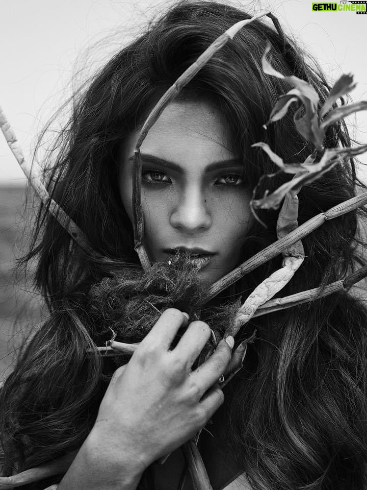 Lovi Poe - 130.5K Likes - Time traveling back to 2016 me ♥️

Photographed by @markednicdao 

P.S. Let’s shoot again soon? 📸