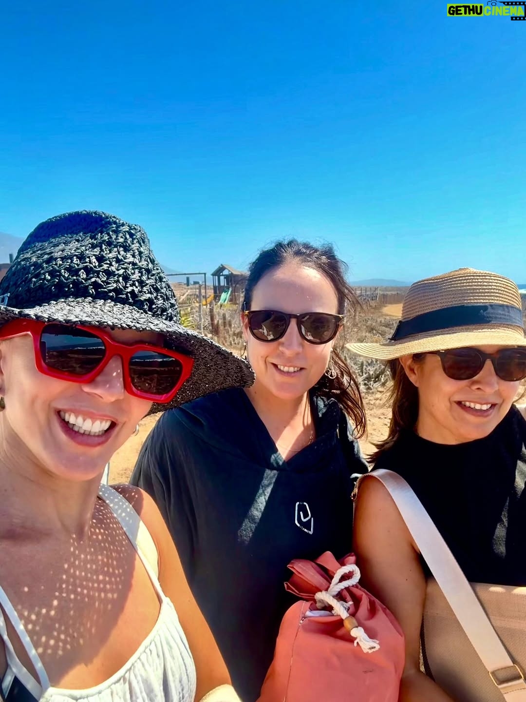 Luz Valdivieso - 36.7K Likes - Un mix del verano.. solo agradecer 🙌
El privilegio de estar juntos. Mis hijos, mis hermanas, mis sobrinos y mi papá! Disfrutar de días largos, del mar, la lectura, los juegos de mesa y las fogatas! 
De las conversaciones con los adolescentes! De ver cómo crecen! De veranos inolvidables en familia! 
Los ❤️ mucho!!! Que sean muuuchos más!!!
Gracias! Gracias!!Gracias!!! 

#huentelauquén 
#maríadelosrayos
#marcialdelostruenos
#lucíadepanguipulli