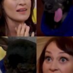 Mamrie Hart