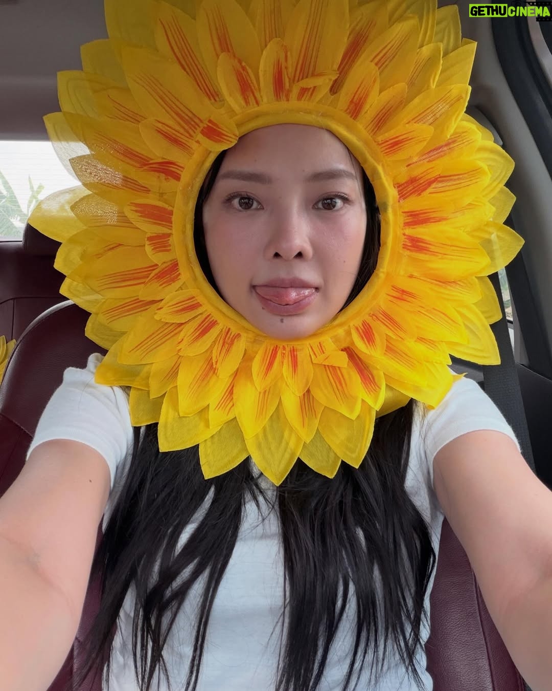 Manasaporn Chanchalerm - 95.1K Likes - 🎂Birthday to me kaaa วันนี้สุดคุ้มมาก ต้อนรับวัย31ได้คุ้มค่าทุกนาที ไอเลิ้บตัวเอง ไอเลิ้บทุกคนข้างกาย ขอบคุณทุกคนค่าาา นอนกันเถอะ