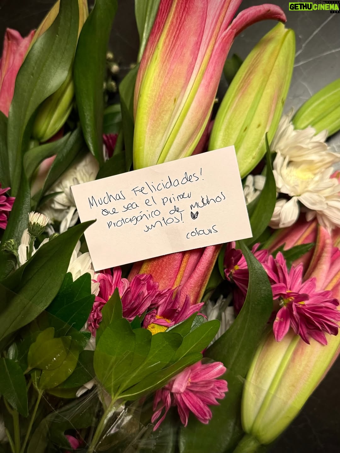 María Chacón - 92.8K Likes - 2025 fue un año de sueños cumplidos y de un corazón lleno de amor y gratitud. La vida se volvió un poco más lenta, no para frenar, sino para aprender a saborear lo que de verdad importa. Cerré ciclos que me dieron tanto y abrí nuevos que muero por compartir con ustedes. Gracias por cada momento vivido y por este corazón tan lleno. 🤍