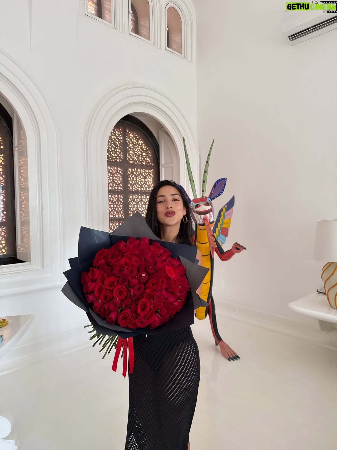 María Chacón - 92.8K Likes - 2025 fue un año de sueños cumplidos y de un corazón lleno de amor y gratitud. La vida se volvió un poco más lenta, no para frenar, sino para aprender a saborear lo que de verdad importa. Cerré ciclos que me dieron tanto y abrí nuevos que muero por compartir con ustedes. Gracias por cada momento vivido y por este corazón tan lleno. 🤍