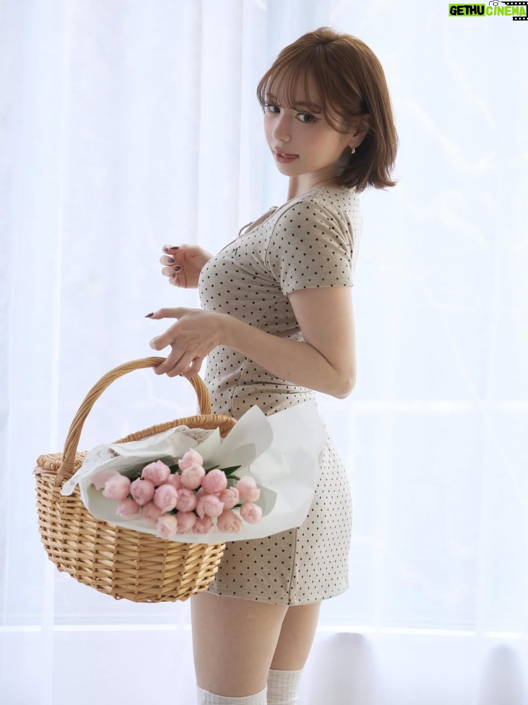 Maria Kurotaki - 8.1K Likes - Little moments of spring🌷
@andmary_official
いつも可愛いけど、今回のANDMARY特に特に可愛い気がしてます…（自分で言うことじゃないんですが🪿）