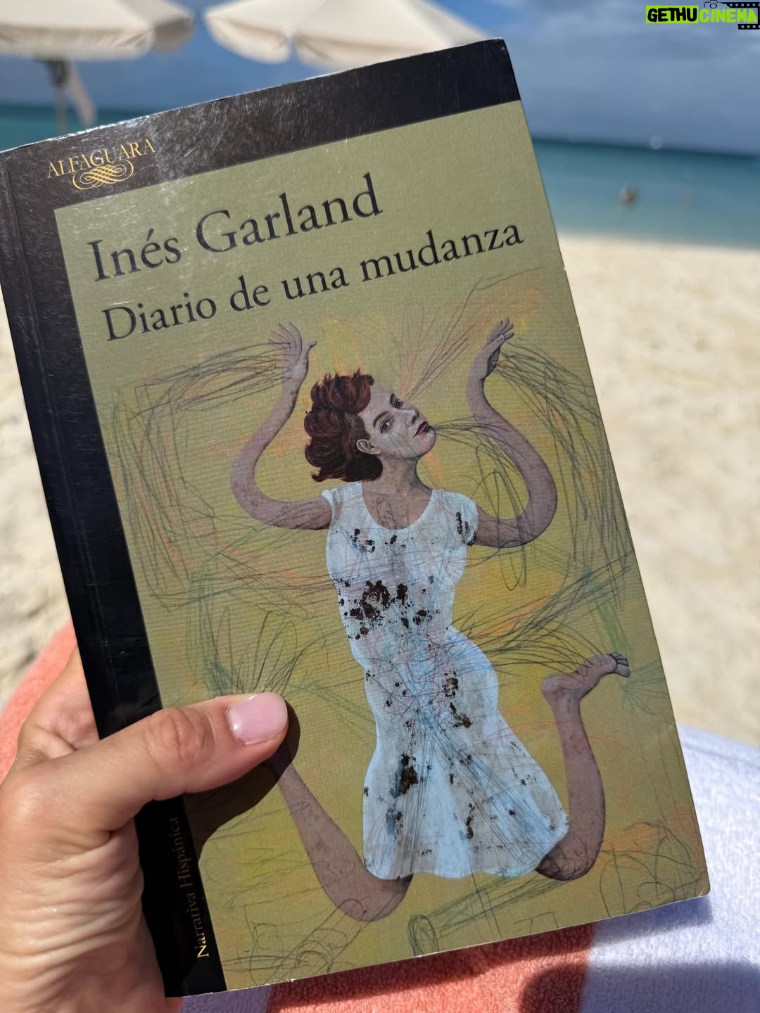Mariana Fabbiani - 32.8K Likes - Dumpcito desde el paraíso 🦩☀️🌊