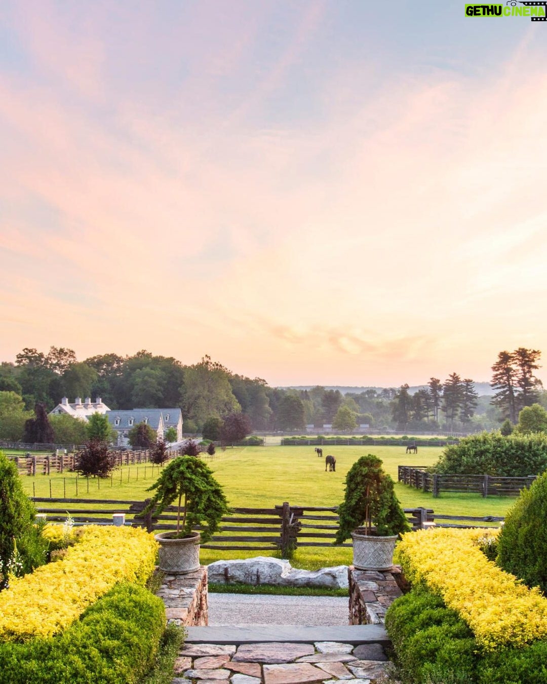 Martha Stewart - 7.6K Likes - Martha has always been a passionate gardener, but nowhere is her expertise and hard work more apparent than in her own personal gardens. "Over the years, I have created and cared for at least six major gardens. I now have two: A 100-acre wood-land garden in Maine, which requires grooming, pruning, and a modicum of intense care. We focus on the cutting garden there, so I can always have beautiful blooms inside the house. In Bedford, I have 156 acres where I grow just about everything—flowers, fruits, vegetables, hay, orchids, tropical plants, woodland trees, and more. The workload is intense, but because we care for the soil, practice organic methods, and grow native plants, it thrives." Read the game-changing gardening tips seasoned gardeners wish they knew sooner at the link in our bio. 📷: @thomasloof (1), @gab (2), @clairetakacs (3), @johndolanphotog (4 & 8), @bryangardnerphotography (5), @minh_ngoc (6), @gramitjoc/courtesy of @marthastewart48 (7)