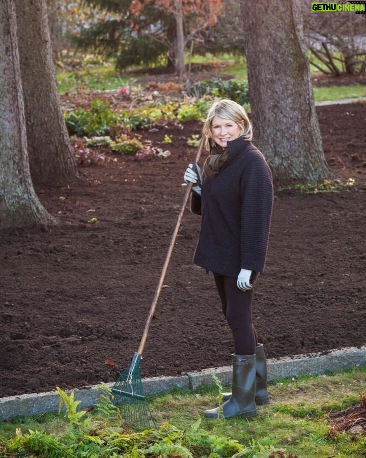 Martha Stewart - 7.6K Likes - Martha has always been a passionate gardener, but nowhere is her expertise and hard work more apparent than in her own personal gardens. "Over the years, I have created and cared for at least six major gardens. I now have two: A 100-acre wood-land garden in Maine, which requires grooming, pruning, and a modicum of intense care. We focus on the cutting garden there, so I can always have beautiful blooms inside the house. In Bedford, I have 156 acres where I grow just about everything—flowers, fruits, vegetables, hay, orchids, tropical plants, woodland trees, and more. The workload is intense, but because we care for the soil, practice organic methods, and grow native plants, it thrives." Read the game-changing gardening tips seasoned gardeners wish they knew sooner at the link in our bio. 📷: @thomasloof (1), @gab (2), @clairetakacs (3), @johndolanphotog (4 & 8), @bryangardnerphotography (5), @minh_ngoc (6), @gramitjoc/courtesy of @marthastewart48 (7)