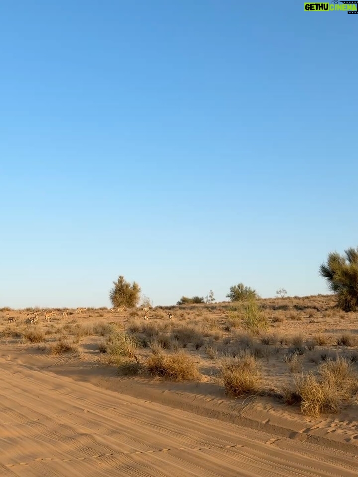 Mayuu Yokota - 90.9K Likes - 🇦🇪🍀🫶🤸‍♂️🦌
今回もみんなでロケ頑張りました！

そして、皆さま今年もありがとうございました！
良いお年をお迎えください🫶