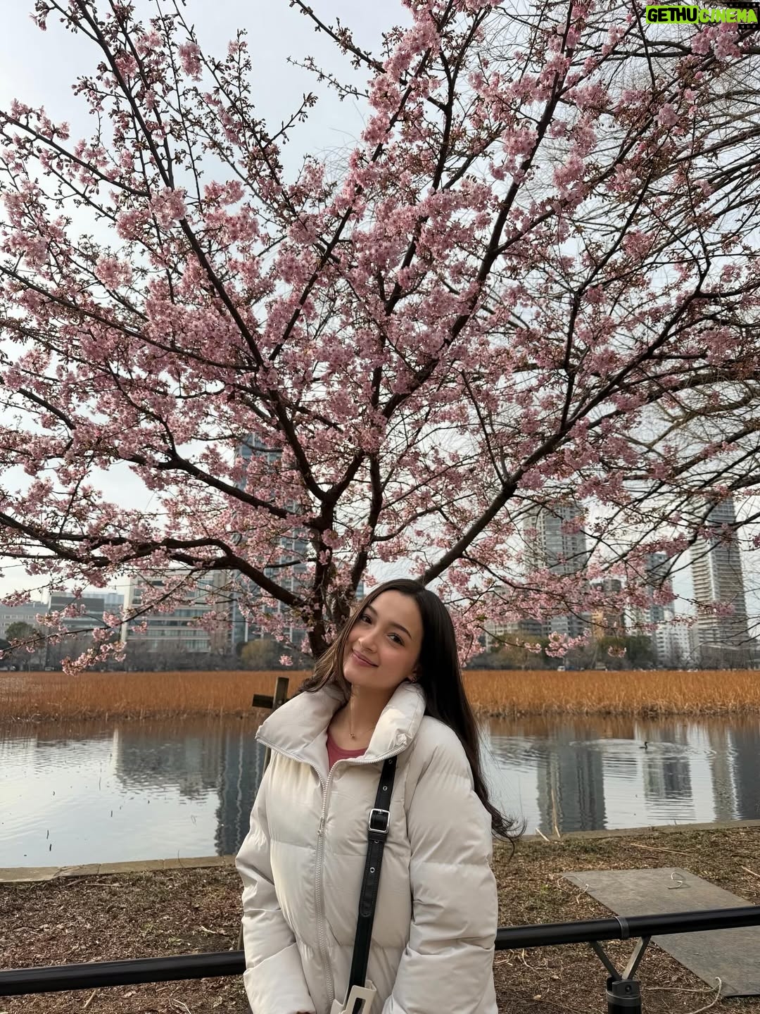 Megan Domani - 277.2K Likes - Japan Archives🍣