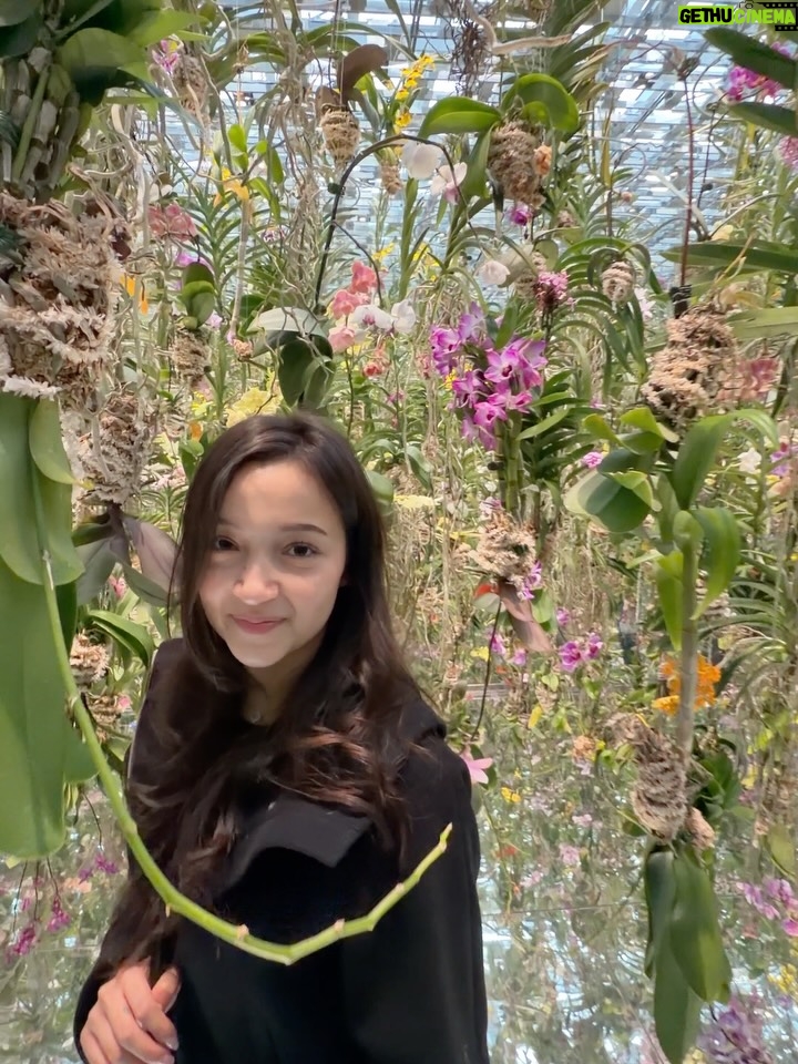 Megan Domani - 277.2K Likes - Japan Archives🍣