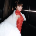 Mei Ho