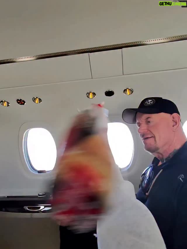 Michelle Calaway - 83.8K Likes - When I get bored & @undertaker puts up with my shenanigans 🤣I call it “closest to the nose wins”! Y’all should try it - don’t have to use bagels🤣
.
.
#blessed #grateful