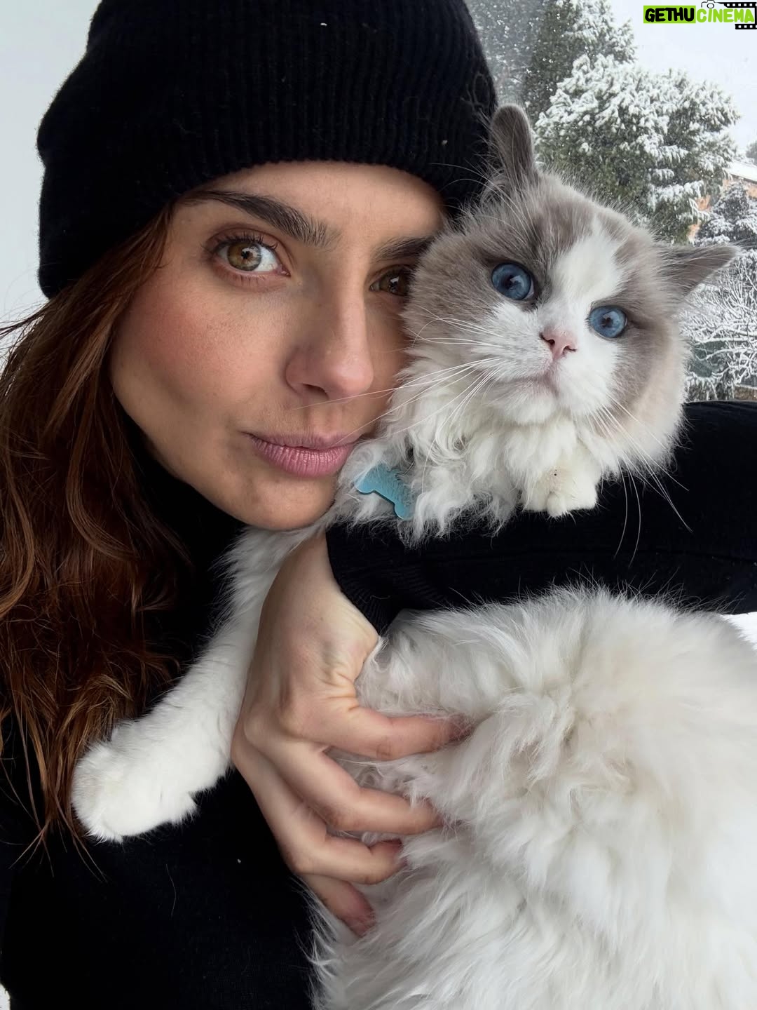 Michelle Renaud - 319.8K Likes - Sorpresas que nos da la vida, mientras estamos en la dulce espera ❄️❤️✨

@matlechat te amo tanto.