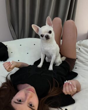 Milana Khametova Instagram - сегодня отмечается день любви к своему домашнему питомцу!! поцелуйте своего пушистого друга от меня🤍🐶🐶